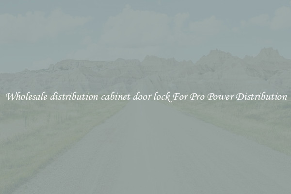 Wholesale distribution cabinet door lock For Pro Power Distribution