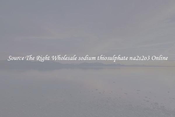 Source The Right Wholesale sodium thiosulphate na2s2o3 Online