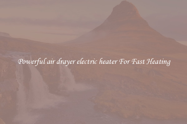 Powerful air drayer electric heater For Fast Heating