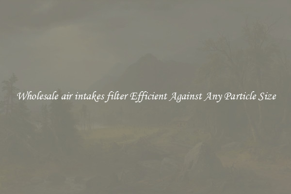Wholesale air intakes filter Efficient Against Any Particle Size