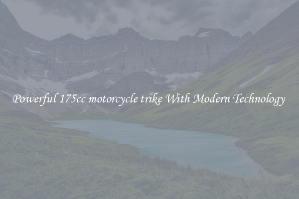 Powerful 175cc motorcycle trike With Modern Technology 