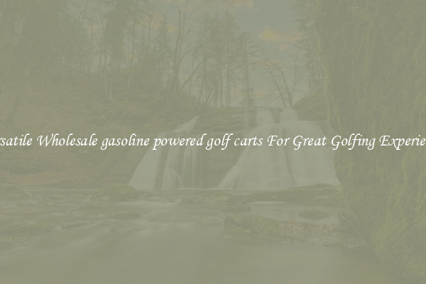 Versatile Wholesale gasoline powered golf carts For Great Golfing Experience 