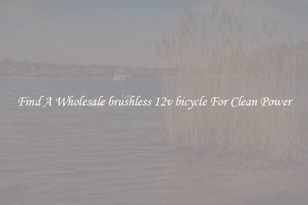 Find A Wholesale brushless 12v bicycle For Clean Power