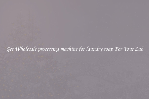 Get Wholesale processing machine for laundry soap For Your Lab