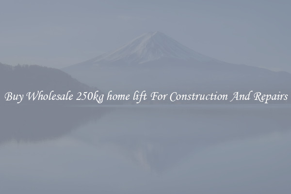 Buy Wholesale 250kg home lift For Construction And Repairs