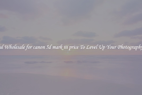 Useful Wholesale for canon 5d mark iii price To Level Up Your Photography Skill