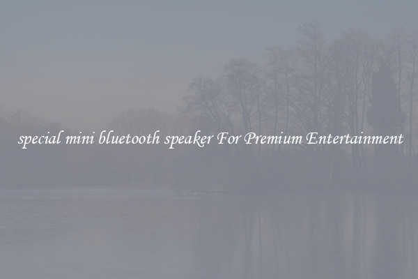 special mini bluetooth speaker For Premium Entertainment