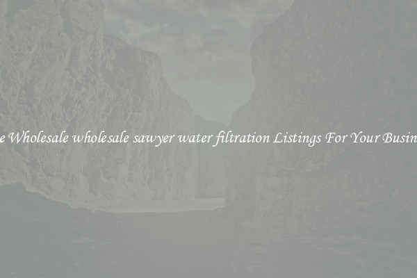 See Wholesale wholesale sawyer water filtration Listings For Your Business