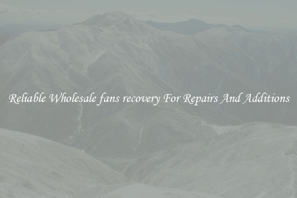 Reliable Wholesale fans recovery For Repairs And Additions