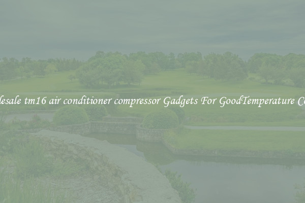Wholesale tm16 air conditioner compressor Gadgets For GoodTemperature Control