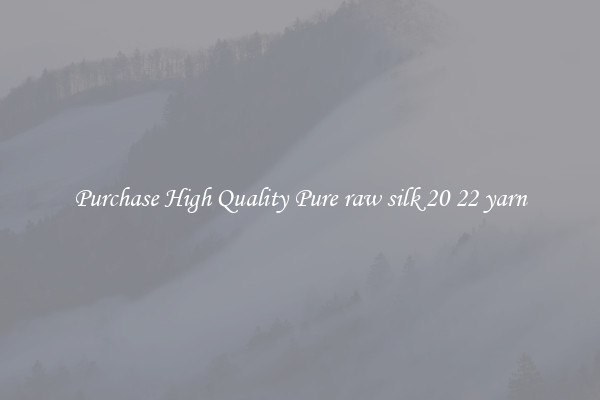 Purchase High Quality Pure raw silk 20 22 yarn