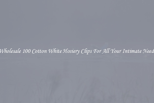 Wholesale 100 Cotton White Hosiery Clips For All Your Intimate Needs