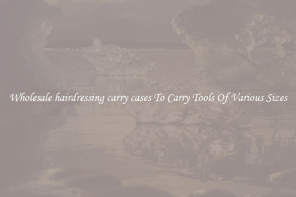 Wholesale hairdressing carry cases To Carry Tools Of Various Sizes