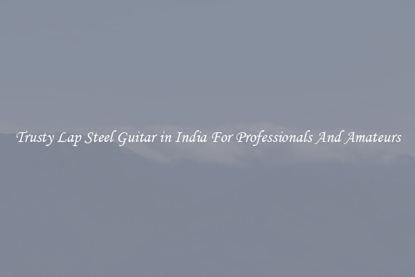 Trusty Lap Steel Guitar in India For Professionals And Amateurs